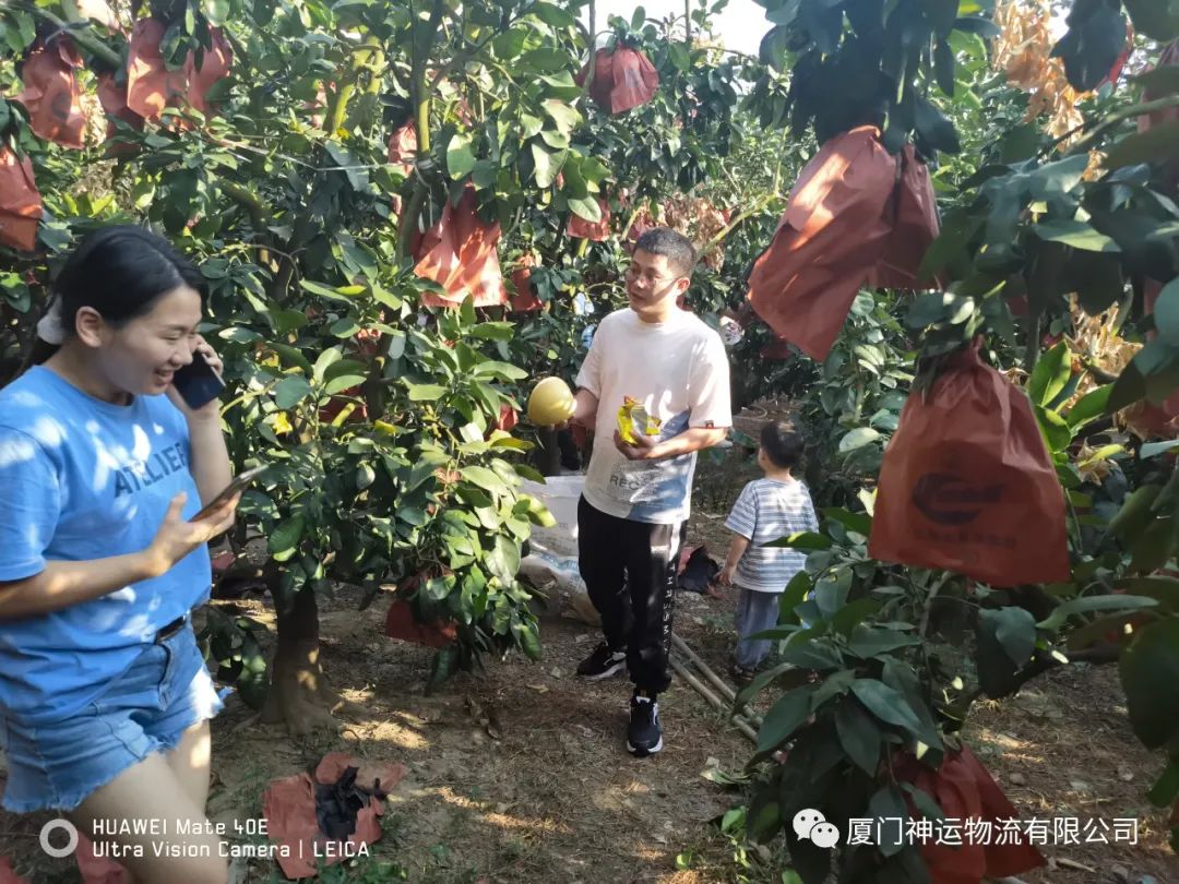 &#26131;&#28216;&#40;&#20013;&#22269;&#41;&#121;&#105;&#121;&#111;&#117;